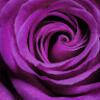 sandy_merenda12